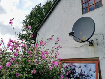 Satellite Dish Removal in Lutherville, Maryland