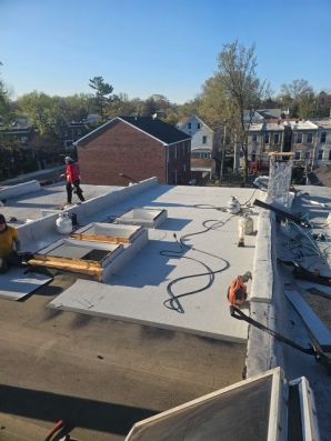 Flat Roofs in Baltimore, MD (3)