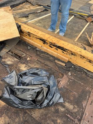 Roof Deck Construction in Baltimore City, MD (5)