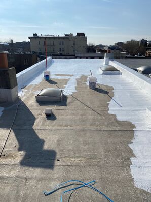 Silicone Roof Coating in Washington D.C. (1)