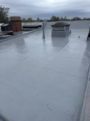 Roof Coating in Washington D.C. (2)