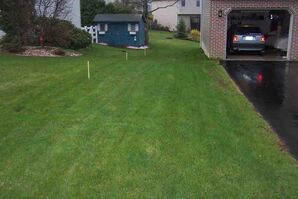 Before and After Driveway Services in Silver Spring, MD (1)