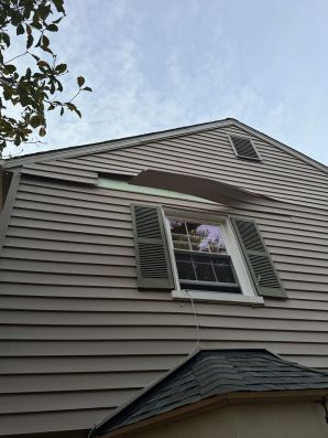 Vinyl Siding in Washington, DC (1)