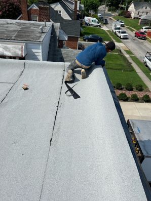 Flat Roofing in Baltimore, MD (3)